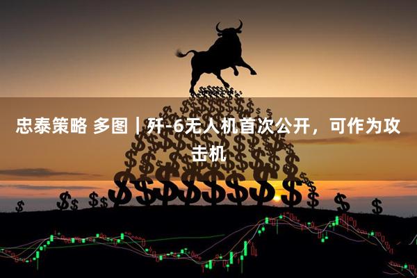 忠泰策略 多图｜歼-6无人机首次公开，可作为攻击机