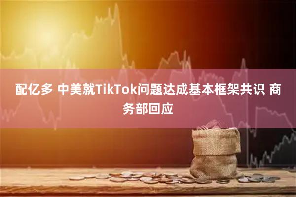 配亿多 中美就TikTok问题达成基本框架共识 商务部回应