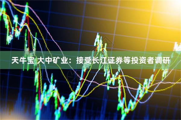 天牛宝 大中矿业：接受长江证券等投资者调研