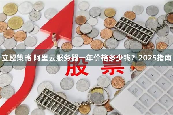立盟策略 阿里云服务器一年价格多少钱？2025指南