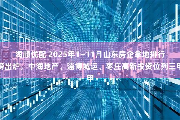 海顺优配 2025年1—11月山东房企拿地排行榜出炉，中海地产、淄博城运、枣庄高新投资位列三甲