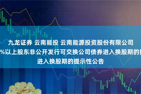 九龙证券 云南能投 云南能源投资股份有限公司关于持股5%以上股东非公开发行可交换公司债券进入换股期的提示性公告