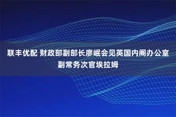 联丰优配 财政部副部长廖岷会见英国内阁办公室副常务次官埃拉姆