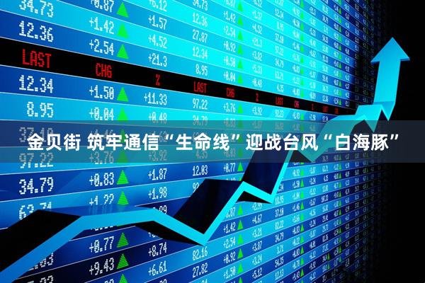 金贝街 筑牢通信“生命线”迎战台风“白海豚”