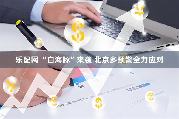 乐配网 “白海豚”来袭 北京多预警全力应对